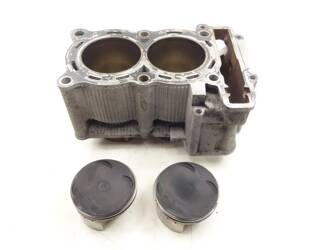 Cylinders and pistons set Yamaha T-max 500 08-11