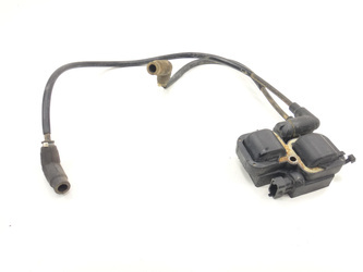 Can-Am Renegade 800 06- Ignition Coils