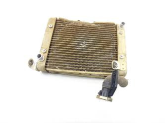 Can-Am Renegade 800 06-11 Radiator