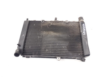 Yamaha Fz1 Fazer Fzs 1000 Liquid Water Radiator