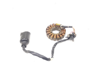 X-Max 05-09 Skycruiser Stator Ignition Winding