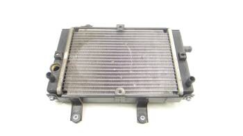 Sym Cruisym 125 18-23 Radiator