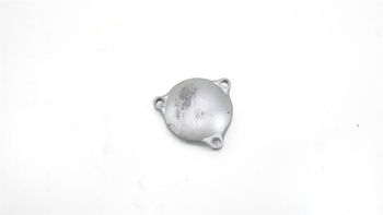 Suzuki Epicuro 125 Oil Filter Cover