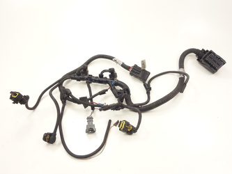 Microcar Ligier X-too Rs ldw442 ct move Electrical installation engine harness