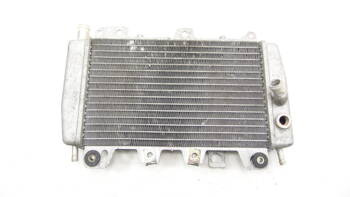 Piaggio X9 125 00-09 Liquid Water Radiator