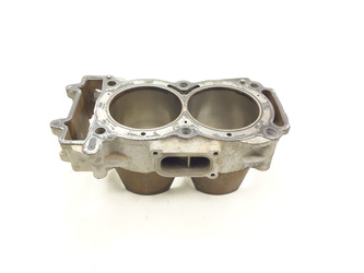 Polaris Ranger Xp 1000 Rzr Rotax 17-21 Cylinder cylindry