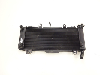 Kawasaki Z 650 z650 17-19 Water cooler