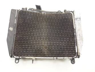 Mv Augusta Brutale 901 11-15 Radiator