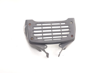 Daelim Roadwin 125 Grill Dummy Radiator Cover