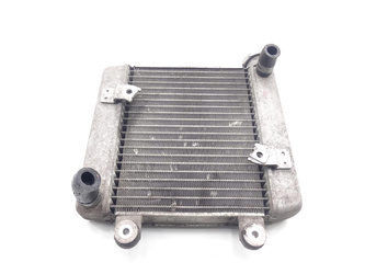 Honda Pantheon 125 03-08 Liquid Water Radiator