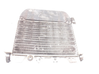 Piaggio Beverly 125 01-11 Liquid Water Cooler