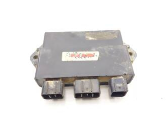 Yamaha Rhino 660 Computer Controller Module