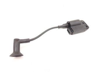 Typhoon 50 Sr Motard Coil Module