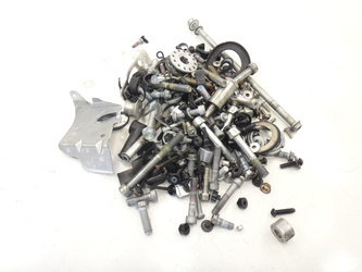 Tuono V4 1100 Factory Screws With Disassembly