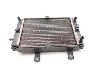 Sym Gts 125 Evo Liquid Water Radiator