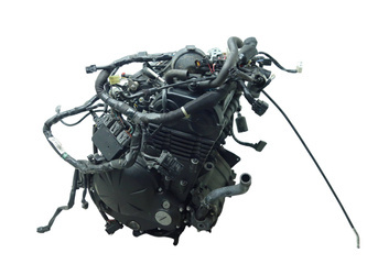 Kawasaki Versys Z650 Swap Quad Atv Buggy Engine