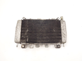 Piaggio X9 Evo 125 Chłodnica wody