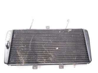 Triumph Sprint 955i T595 Liquid Water Cooler