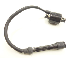 Aeon Cobra 320 420 422 Ignition Coil Plug