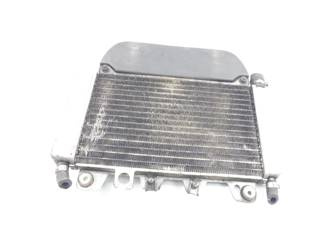 Piaggio X9 125 Liquid Water Radiator