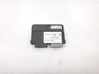 Thunderbird Storm 1700 Computer Controller Module