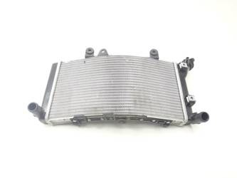 Bmw F850 Gs 17-22 Liquid Water Radiator