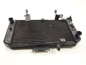 Suzuki Dl 650 V-strom 04-11 Water cooler