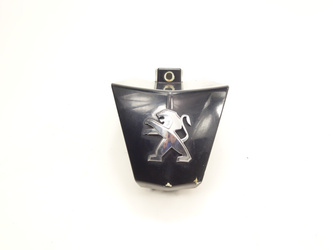 Peugeot Citystar 50 2t Tie mask nose canopy