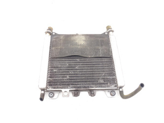 Gilera Nexus 125 9-14 Radiator