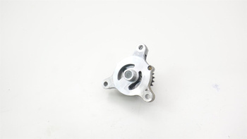 Suzuki Epicuro 125 Oil Pump