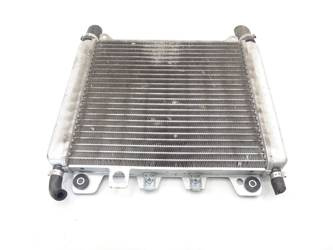 Piaggio Beverly 300 Liquid Water Radiator