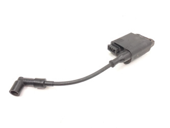 Typhoon 50 Sr Motard Coil Module