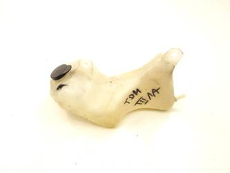 Yamaha Tdm 850 4Tx Expansion Tank