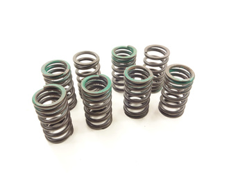 Triumph Tiger 1200 12-17 Valve springs