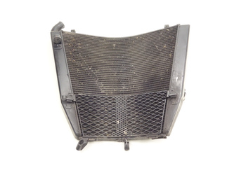 Honda Cbr 1000 Sc57 Fireblade Water Cooler