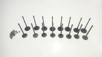 Gtr 1400 10-14 Head Protection Valves