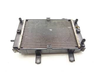 Sym Gts 125 Evo Liquid Water Radiator