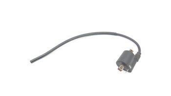 Bashan Bs 200 150 08' Ignition Coil