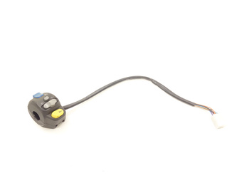 Peugeot Looxor 100 Left Switch