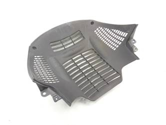 Riya Adonis 125 4T Grill Dummy Cover