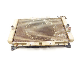 Yamaha Rhino 660 Liquid Water Radiator
