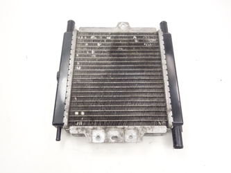 Peugeot Satelis 125 Water cooler