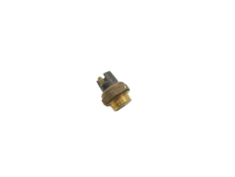 Microcar Ligier X-too Xtoo Temperature Sensor