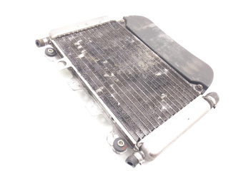 Piaggio X9 125 00-09 Liquid Water Radiator