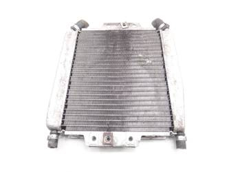 Piaggio X-Evo X8 125 04-10 Liquid Water Radiator
