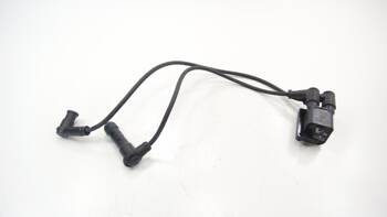 Ducati Scrambler 1100 21R Ignition Coils Pipes