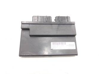 Triumph Tiger 1200 Computer Controller Module