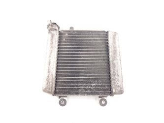 Honda S-Wing 125 07-15 Liquid Water Radiator