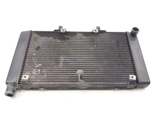 Honda Cb 600F Hornet 07-13 Radiator
