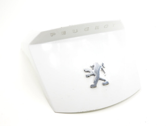 Peugeot Satelis 125 06-12 Plastic rear tailgate